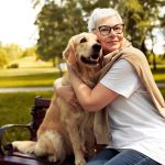 chien pour mamie